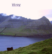 Vidðoy